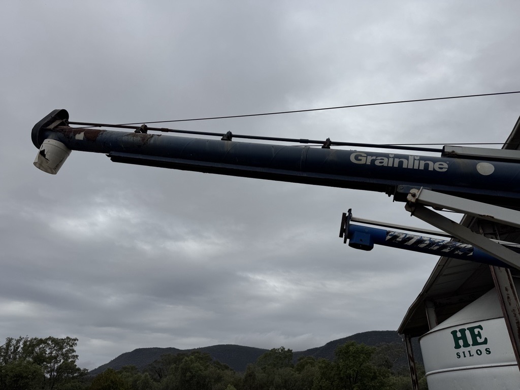 Image 2026 03 06T135717.301